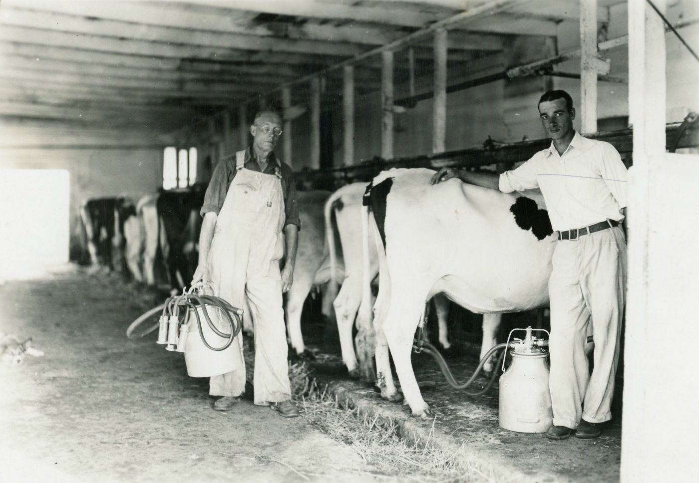 Greenhill Dairy Farm in Heuvelton