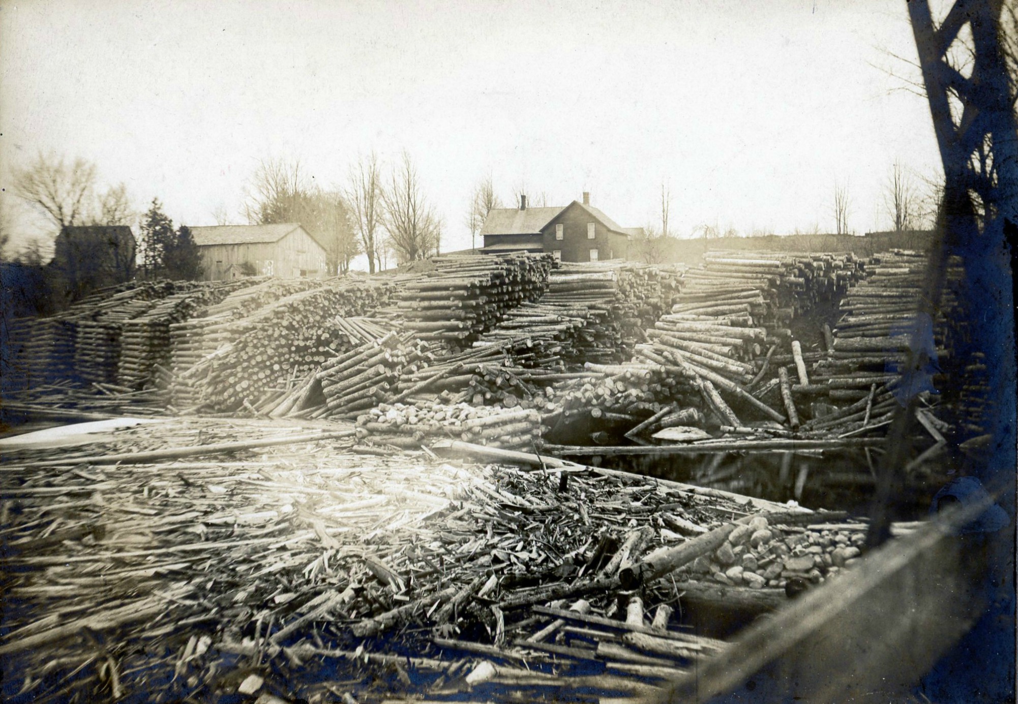 Piles of logs ready for milling at the Day Mill in Hopkinton