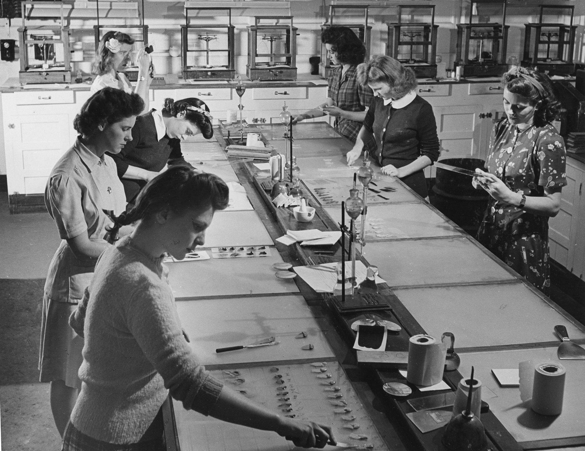 1950 1960 essay picture