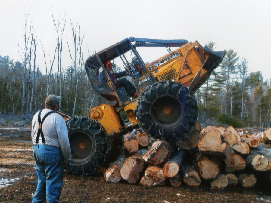 Logger Howard Pelletier approaching a cut tree