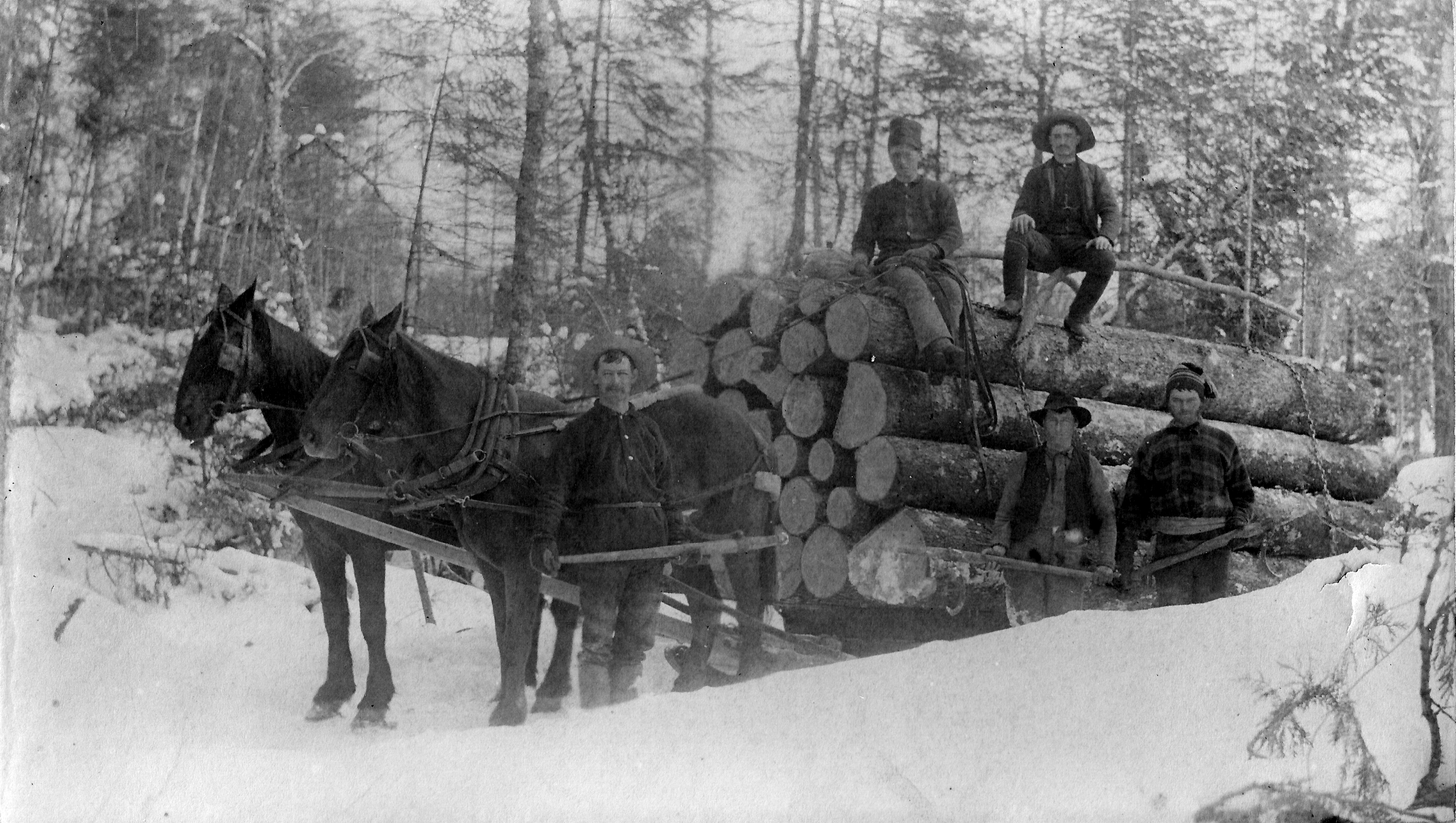 Logging sleigh in Colton