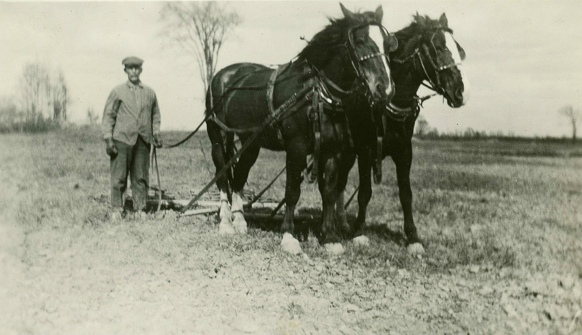 Horse drawn harrowing in Philadelphia