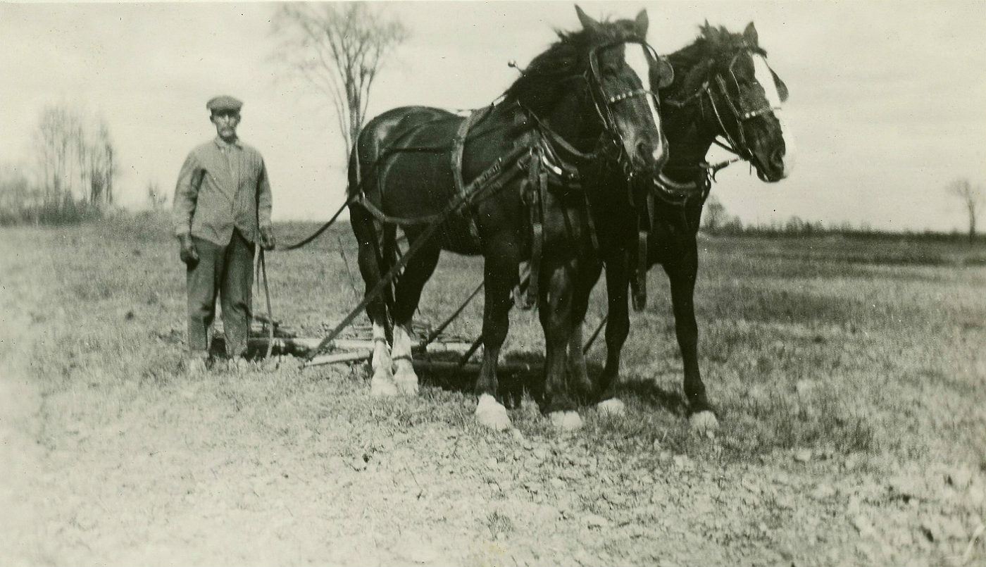 Horse drawn harrowing in Philadelphia