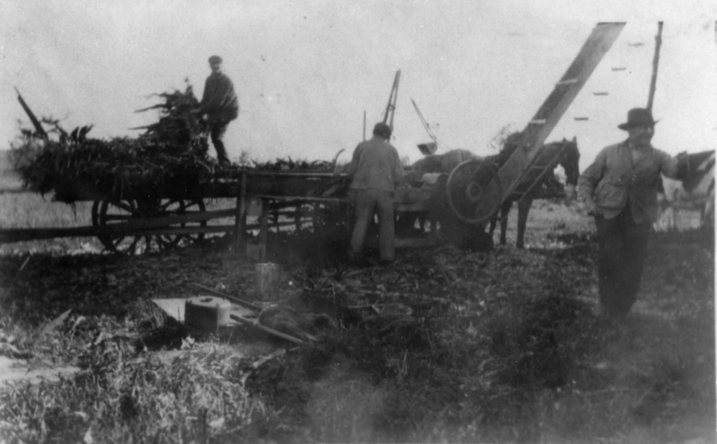 Filling a silo with corn in Heuvelton