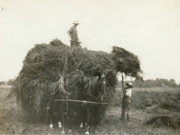 Baxter and Crowe loading hay in Heuvelton