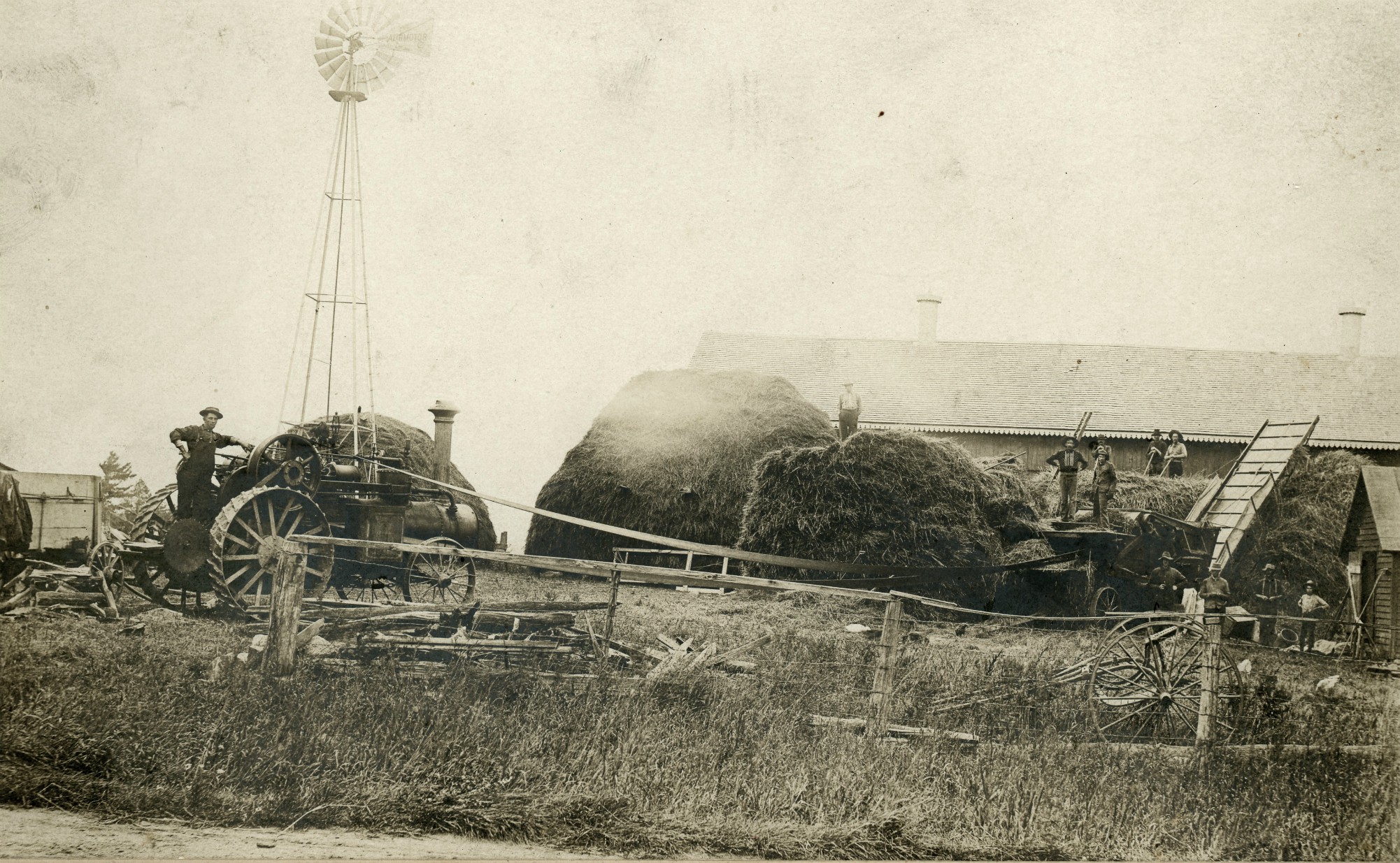 Stooking oats on the Demick farm in Hammond