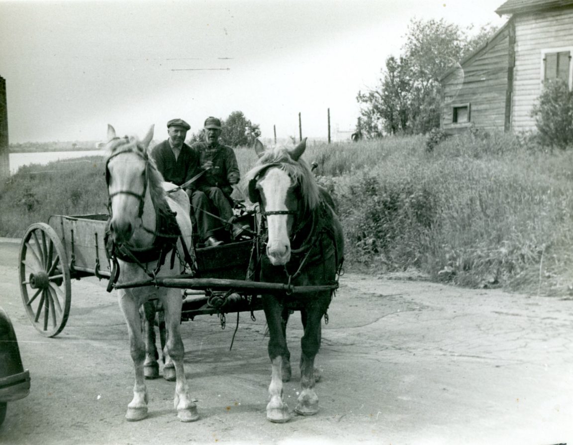 Men driving a horsedrawn wagon in Ogdensburg