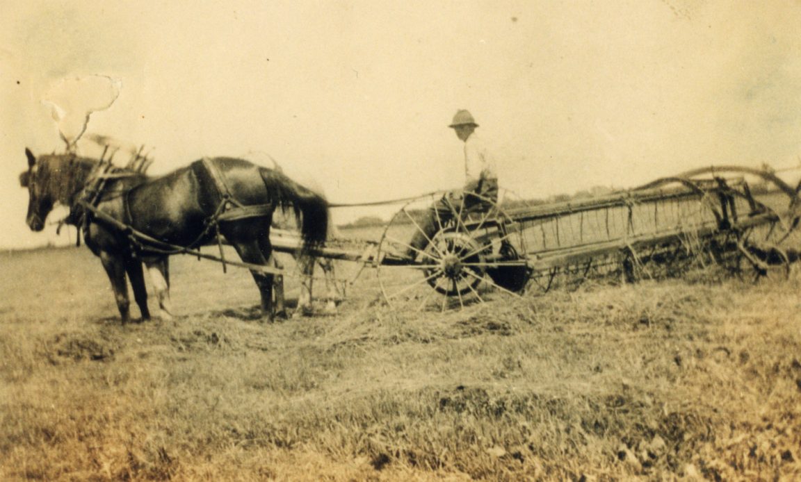 Raking hay with horses in Boquet