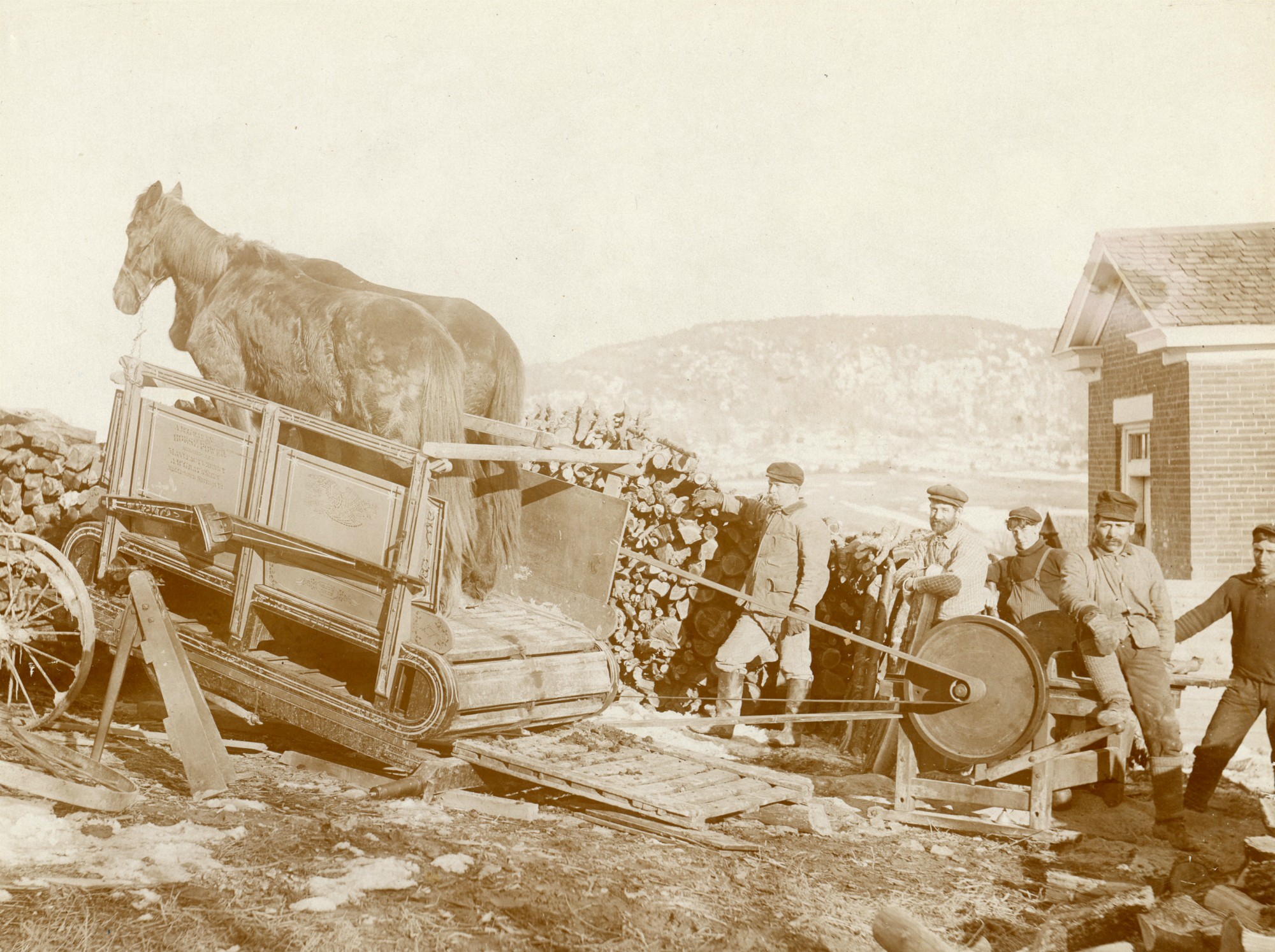 Horse-powered buzz saw cutting firewood in Westport