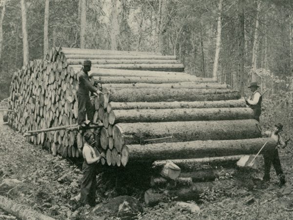 Scaling logs in the Adirondacks