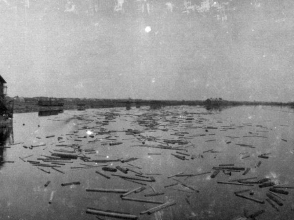 Floating logs on the Black River in Carthage