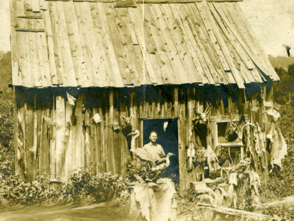 Taxidermy cabin in the Adirondacks