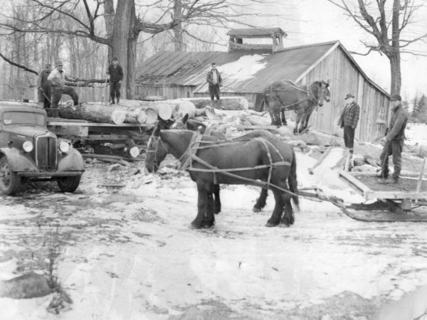 Cutting wood for the war effort in Carthage, NY