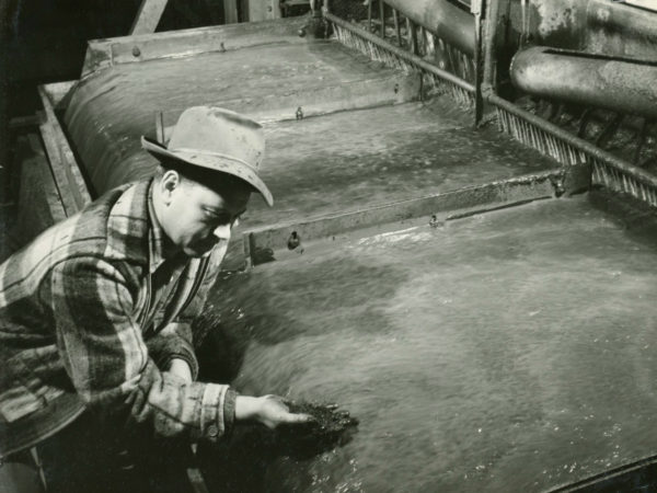 J&L worker examines iron ore slurry at Jones & Laughlin Steel Corporation in Benson Mines