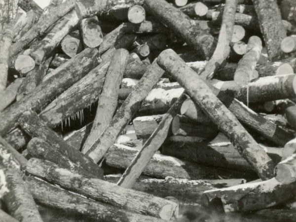 Pile of logs at the Emporium Lumber Company Mill in Cranberry Lake