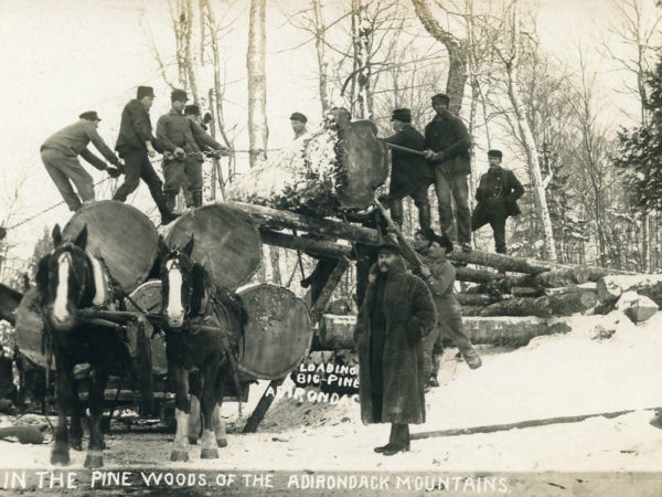 Loading pine logs in the Adirondacks