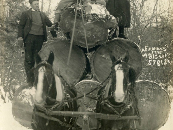 Vic McPhee’s bob sled loaded with 5781 board feet of logs in the Adirondacks