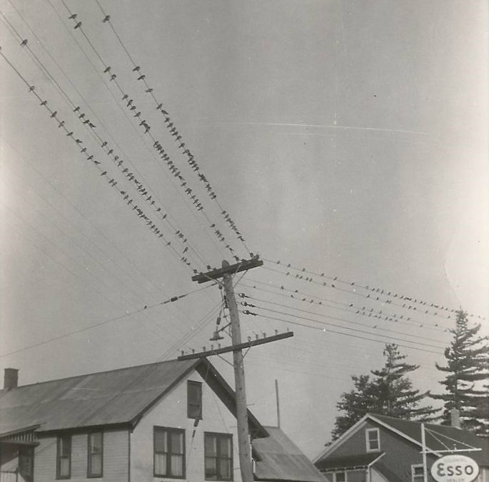 The porch of the General Store in Wanakena