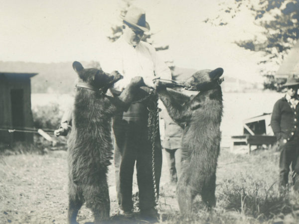 Bear act in Wanakena