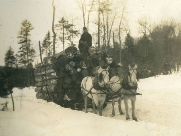 Logging on the Griffin Tract in Wanakena