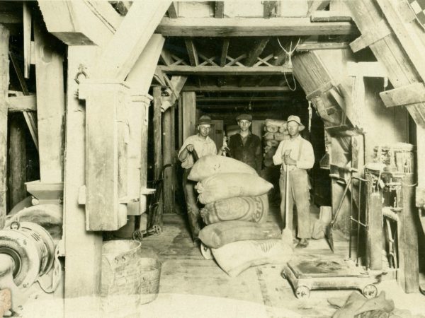 Interior of a feed store in Lisbon