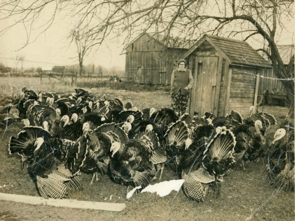 Ruth Muller with turkeys in Lisbon