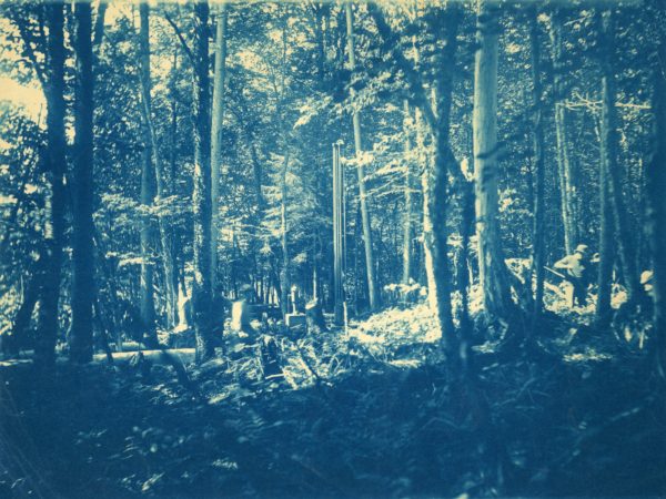 Men working in the woods in Beaver River