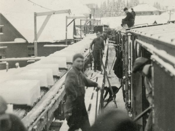 Filling boxcars with ice blocks in Old Forge