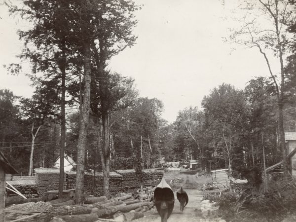 Fifth Lake Lumber Mill yard in Inlet