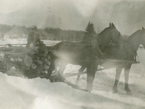 Bobsled load of logs in the Town of Webb