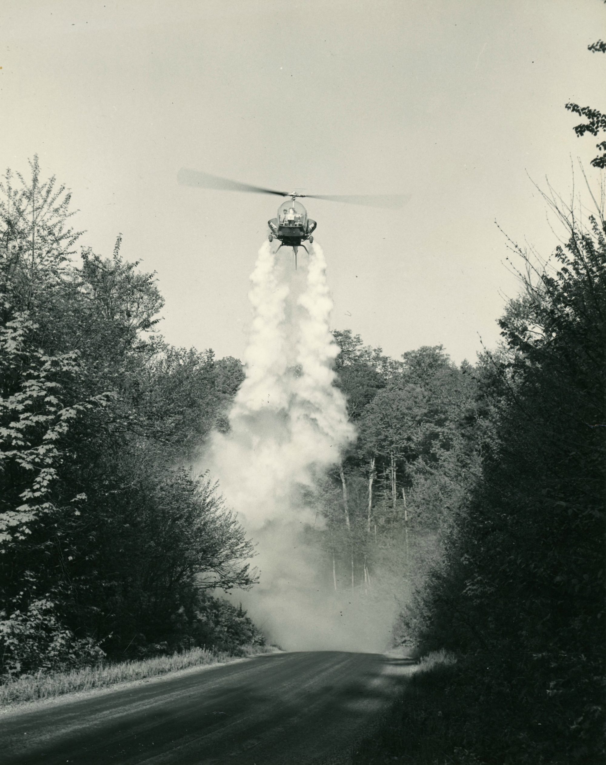 Black fly 'fogging' in the Town of Webb