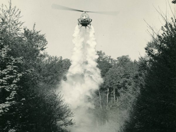 Black fly ‘fogging’ in the Town of Webb