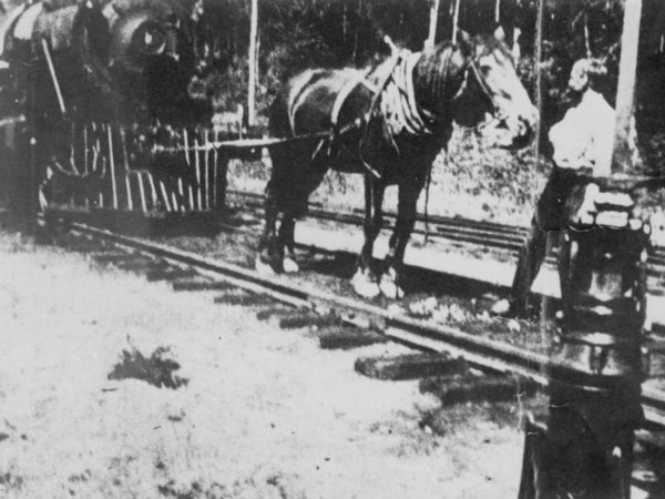 Horses towing railroad engine on the Raquette Lake Railroad in the Town of Long Lake