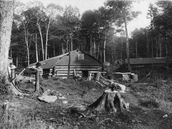 P&M Lumber Camp near Third Lake Creek in the Town of Webb