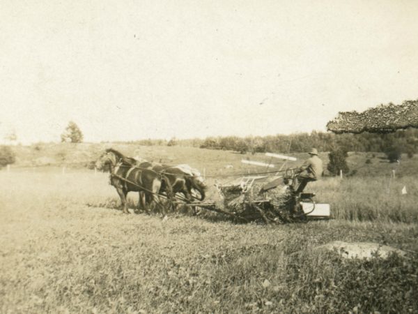 Harvesting oats in the Town of De Kalb