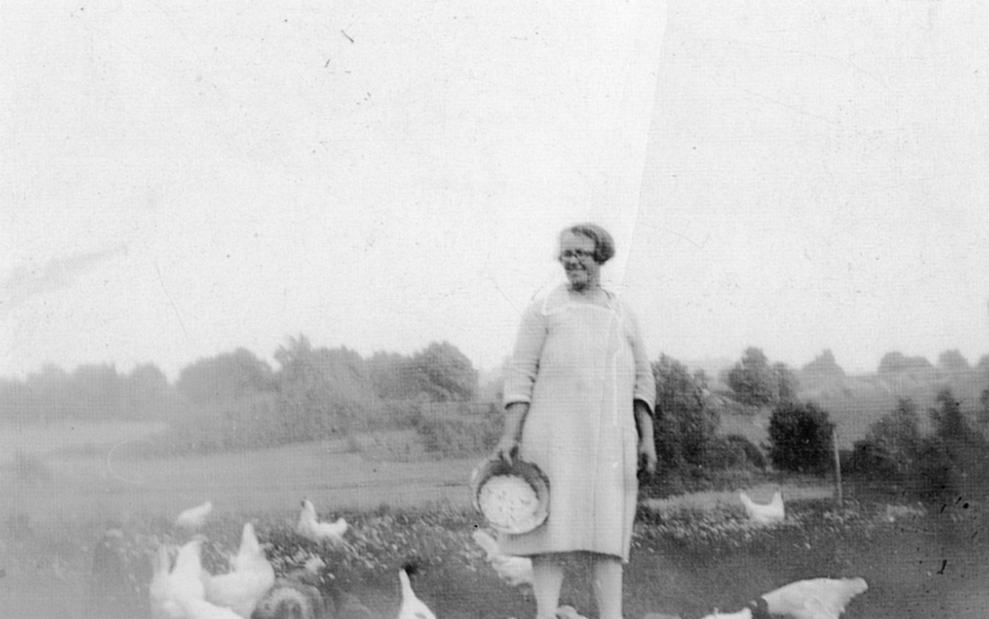 Feeding chickens in the Town of De Kalb