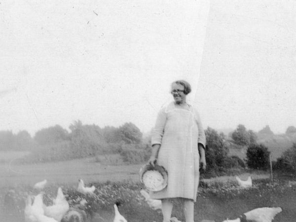 Feeding chickens in the Town of DeKalb