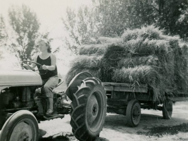 The last load of hay in the Town of De Kalb