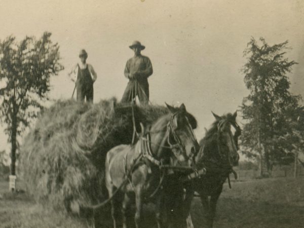 Load of loose hay in the Town of De Kalb