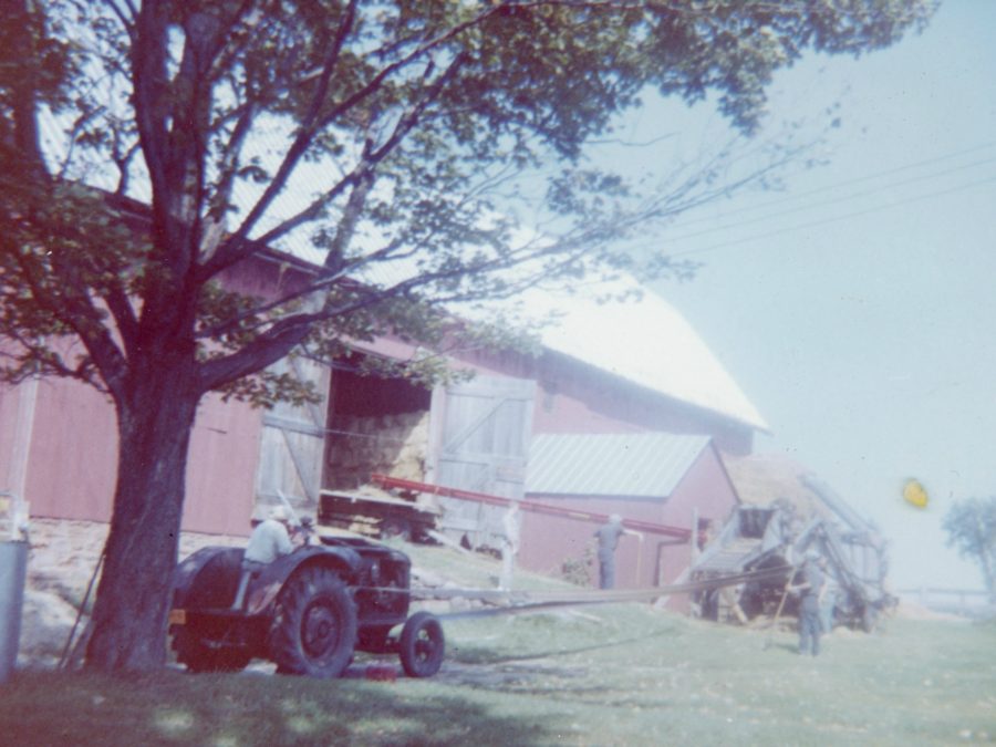 Men threshing oats on the McGregor Farm in Hammond