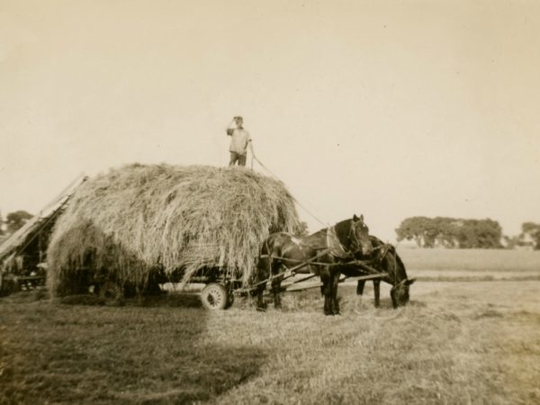 Loading loose hay onto a wagon in the Town of De Kalb