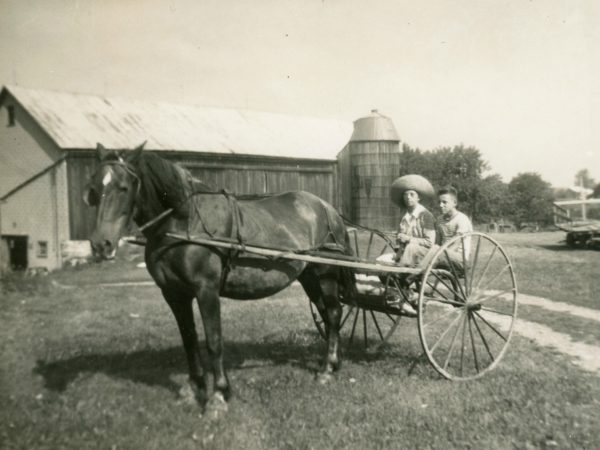 A one horse sulky in the Town of De Kalb