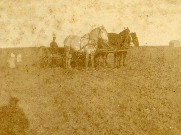 Sowing grain in the Town of De Kalb