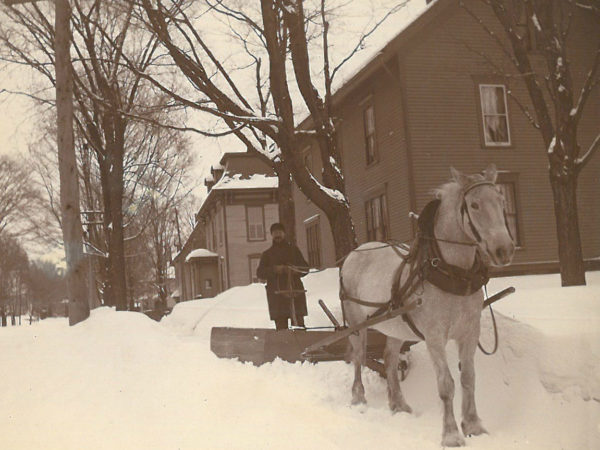 Horse pulls the village plow in Canton