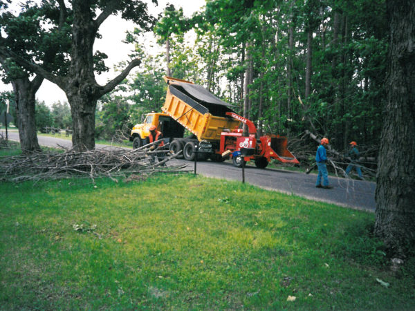 Jeff Hunt’s crew cuts branches on the side of the road in Canton