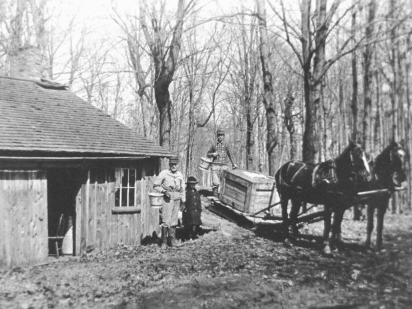 Heading out to gather sap at the Wallace Farm in Canton