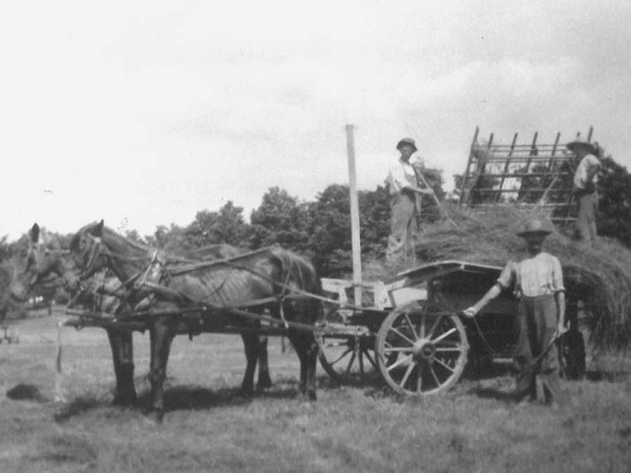 Judd brothers mowing hay in the fields of the Wallace Farm in Canton