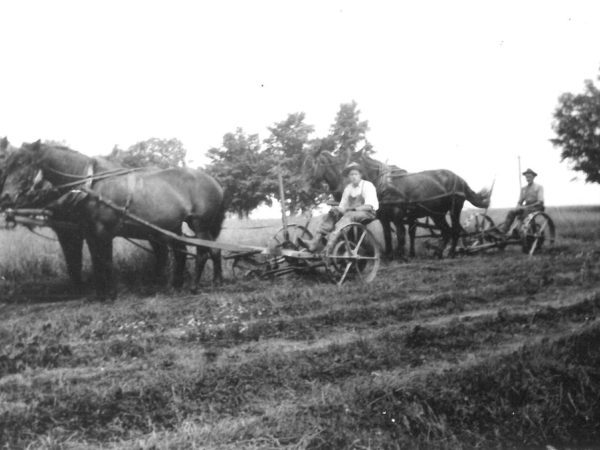 Judd brothers mowing hay in the fields of the Wallace Farm in Canton