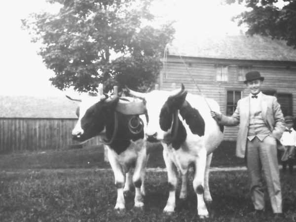 Bishop Shipman ready for the fair with team of oxen on the Wallace Farm in Canton