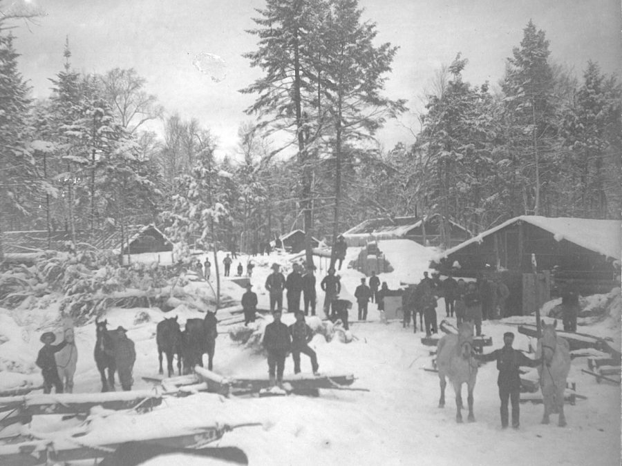 Logging families at Bert Frank lumber camp in Colton